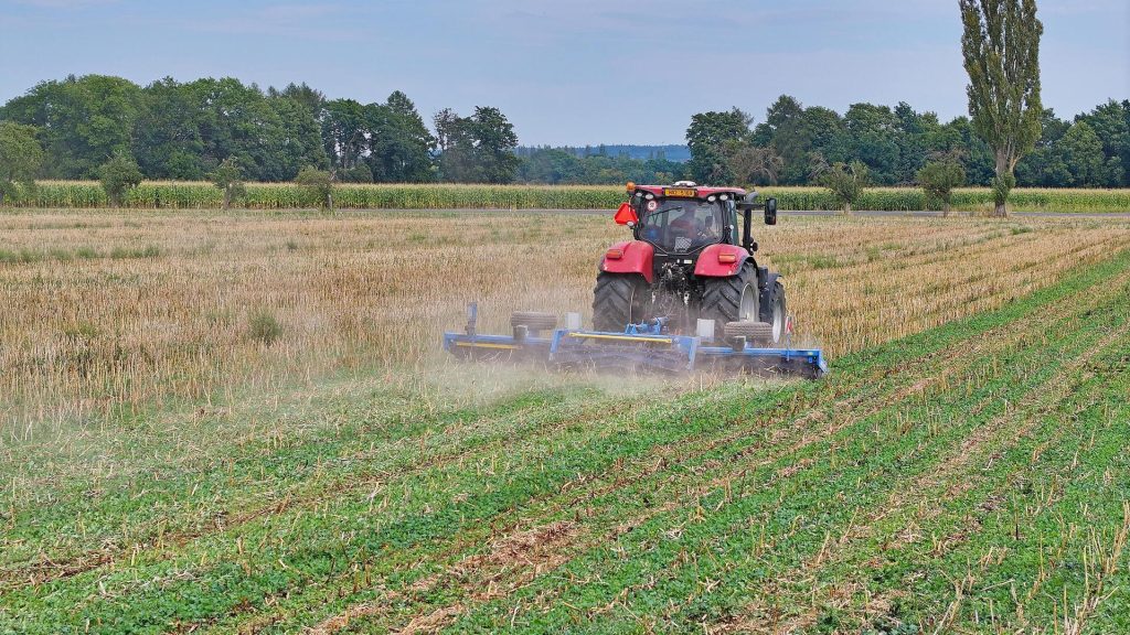 rezaci-valce-singlecut-6-03